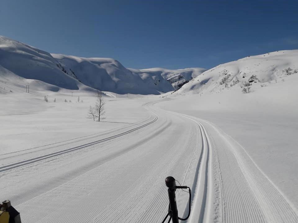 Fjordapartments